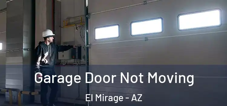  Garage Door Not Moving El Mirage - AZ