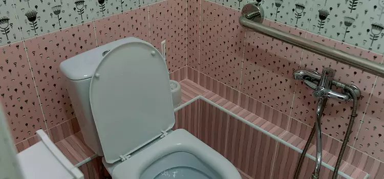 Meeting Diverse Needs With Accessible Restroom Solutions in El Mirage, AZ