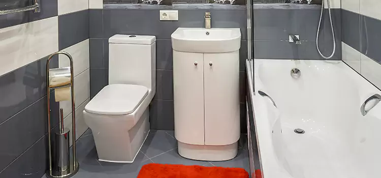 Hansgrohe Shaving Mirror El Mirage