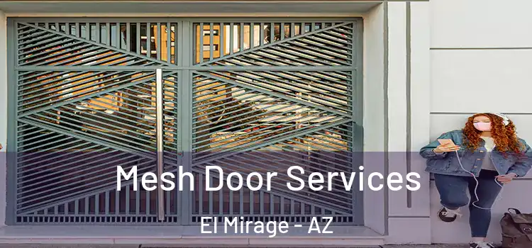 Mesh Door Services El Mirage - AZ